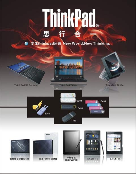 ThinkPad DM